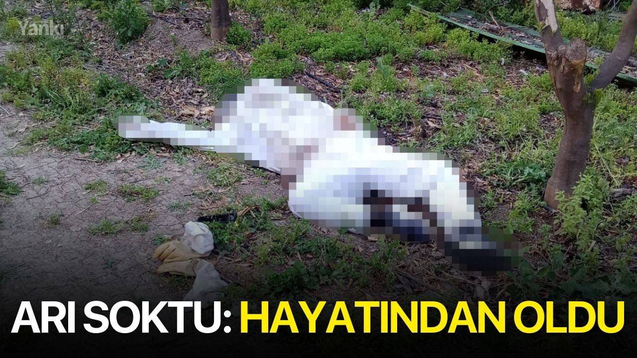 Arı soktu: Hayatından oldu