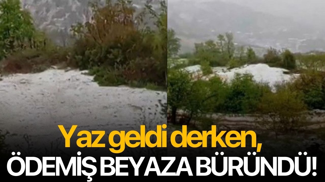 Yaz geldi derken, Ödemiş beyaza büründü!