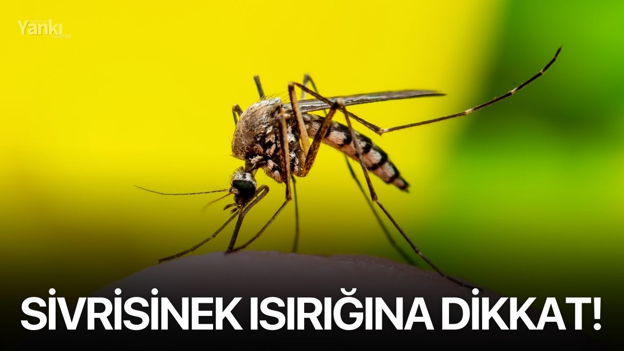 Sivrisinek ısırığına dikkat!
