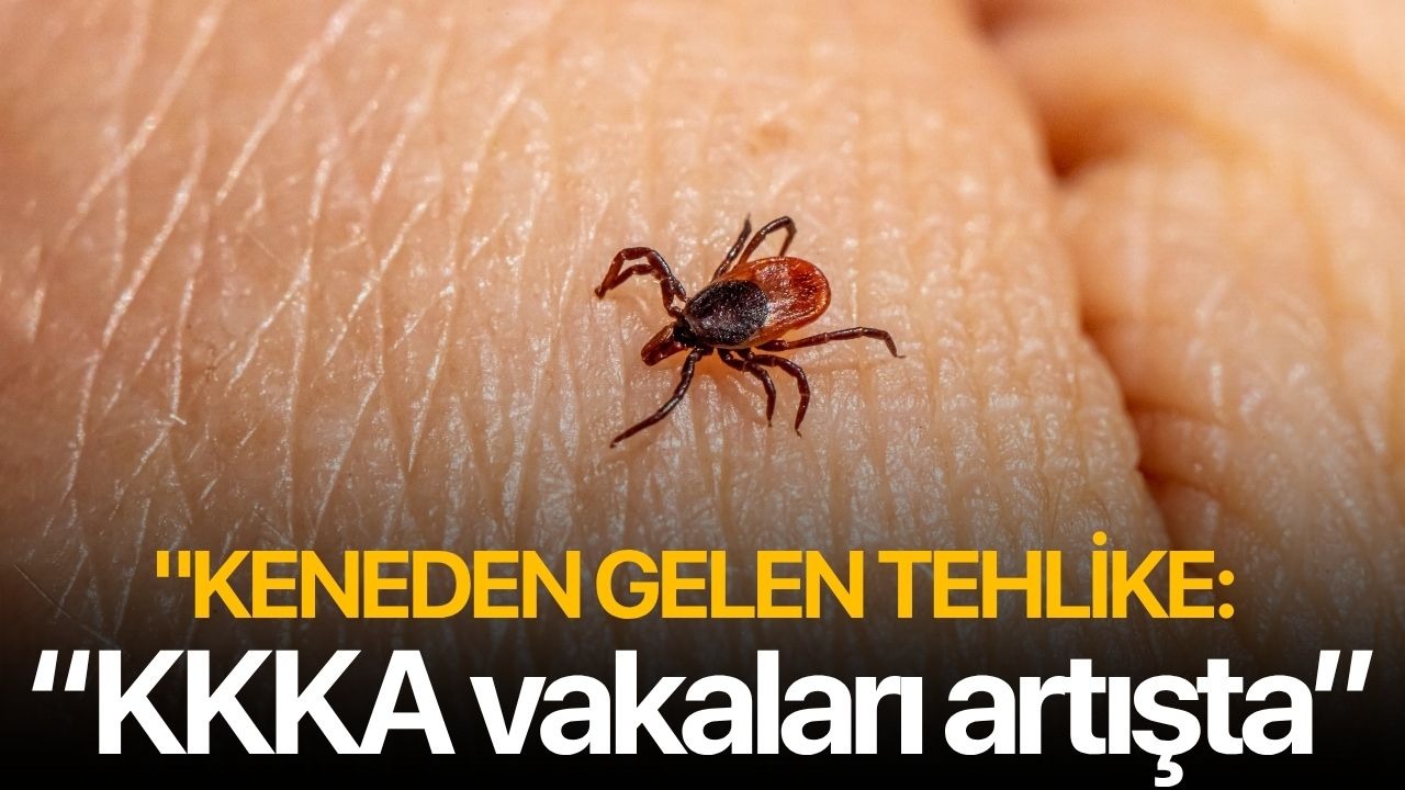 Keneden gelen tehlike: "KKKA vakaları artışta"