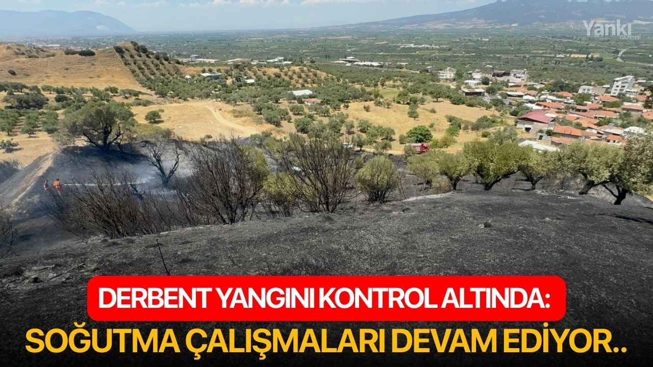 Derbent Yangını kontrol altında: Soğutma çalışmaları devam ediyor..