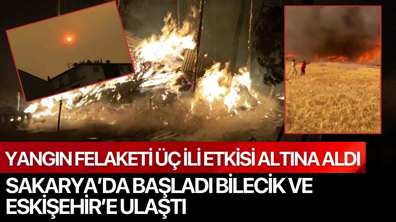 Yangın Felaketi Üç İli Etkisi Altına Aldı: Sakarya’da Başladı Bilecik ve Eskişehir’e Ulaştı