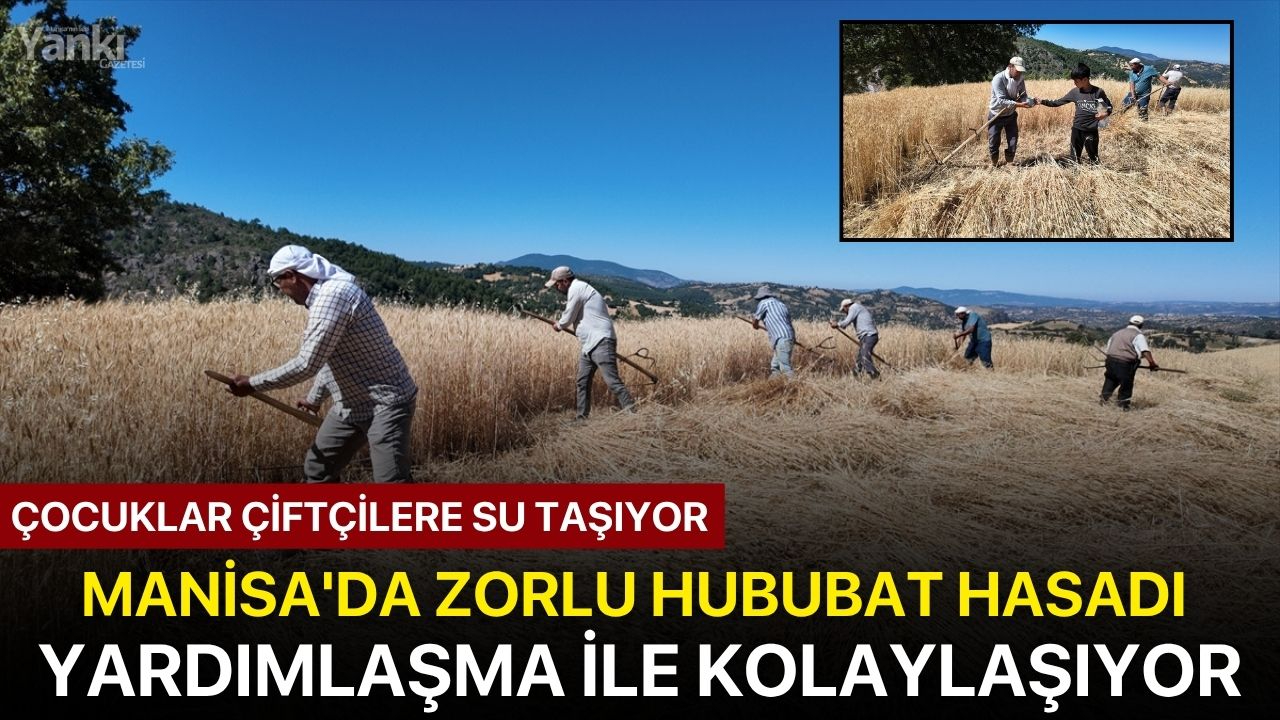 Manisa'da zorlu hububat hasadı yardımlaşma ile kolaylaşıyor