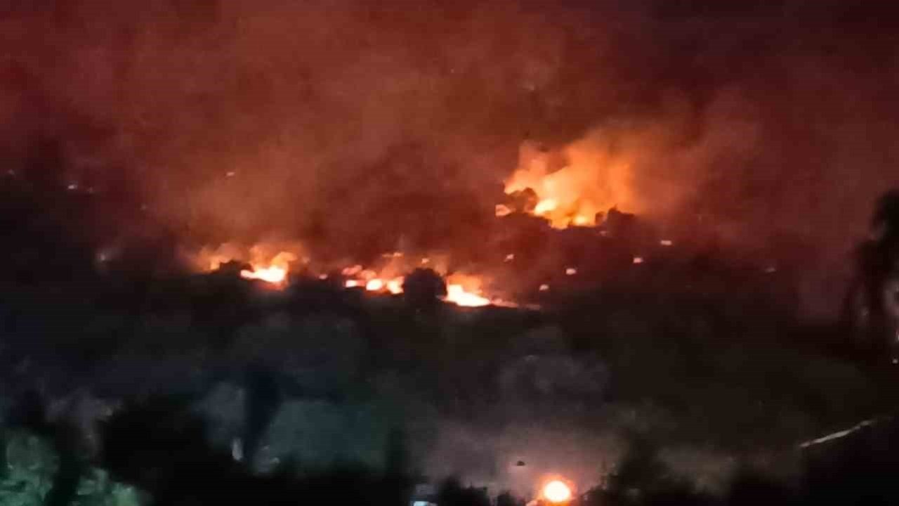 Dikili’de orman yangını: Çanakkale yolu ulaşıma kapatıldı!