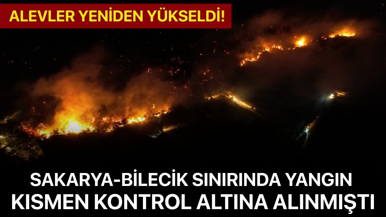 Sakarya-Bilecik sınırında yangın kısmen kontrol altına alınmıştı: Alevler yeniden yükseldi!