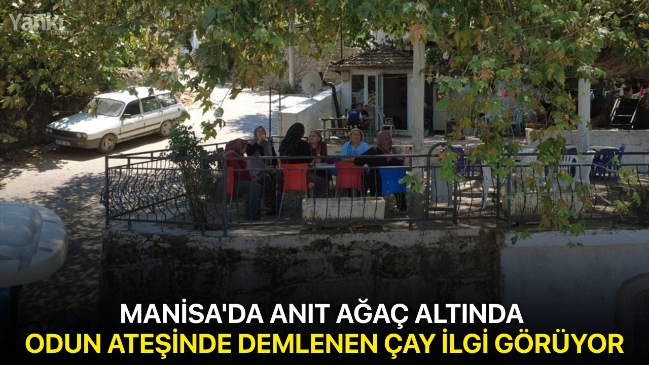 Manisa'da anıt ağaç altında odun ateşinde demlenen çay ilgi görüyor