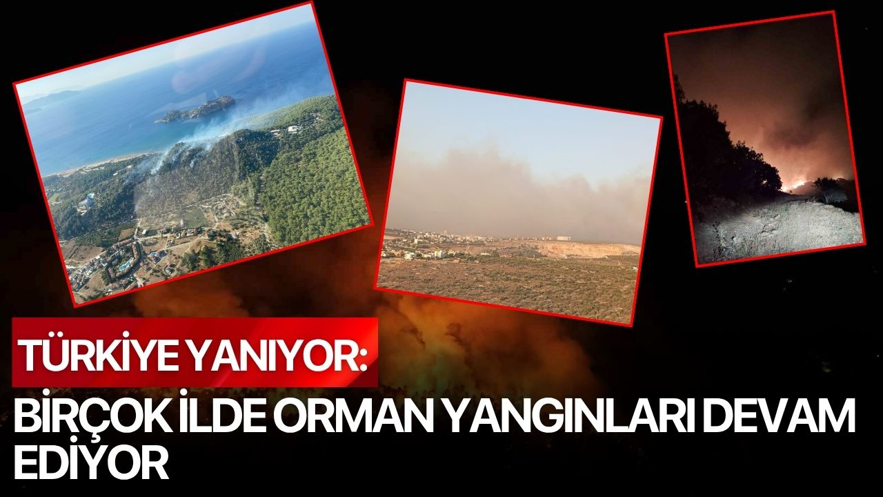 Türkiye Yanıyor: Birçok İlde Orman Yangınları Devam Ediyor