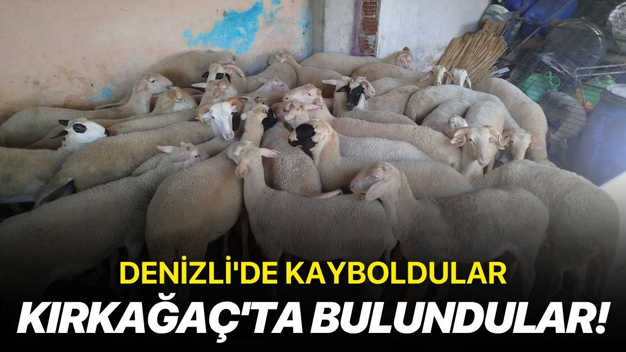 Denizli'de kayboldular, Kırkağaç'ta bulundular!