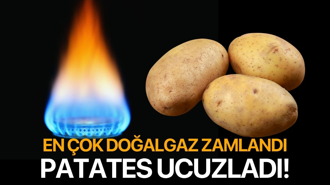 En çok doğalgaz zamlandı! Patates ucuzladı...