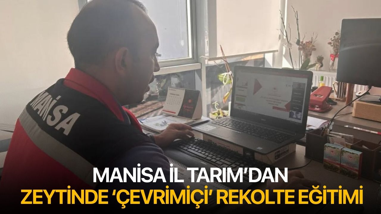 Manisa İl Tarım'dan Zeytinde Çevrimiçi Rekolte Eğitimi