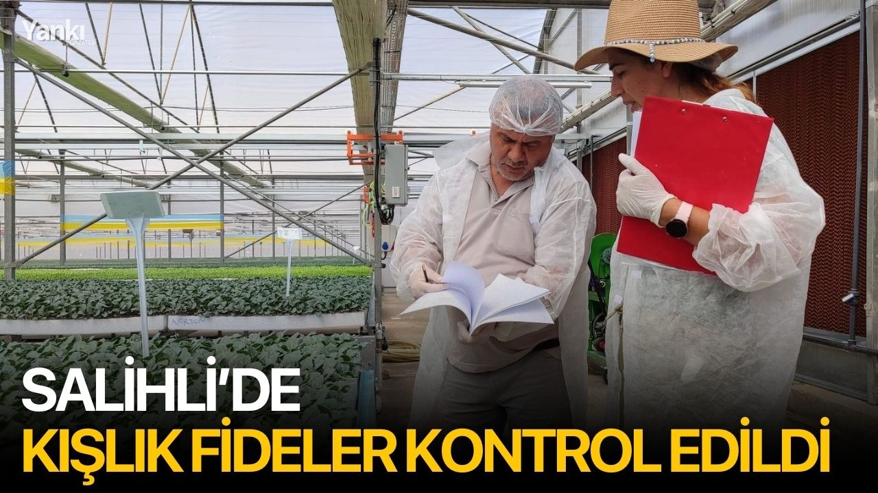 Salihli’de  kışlık fideler kontrol edildi
