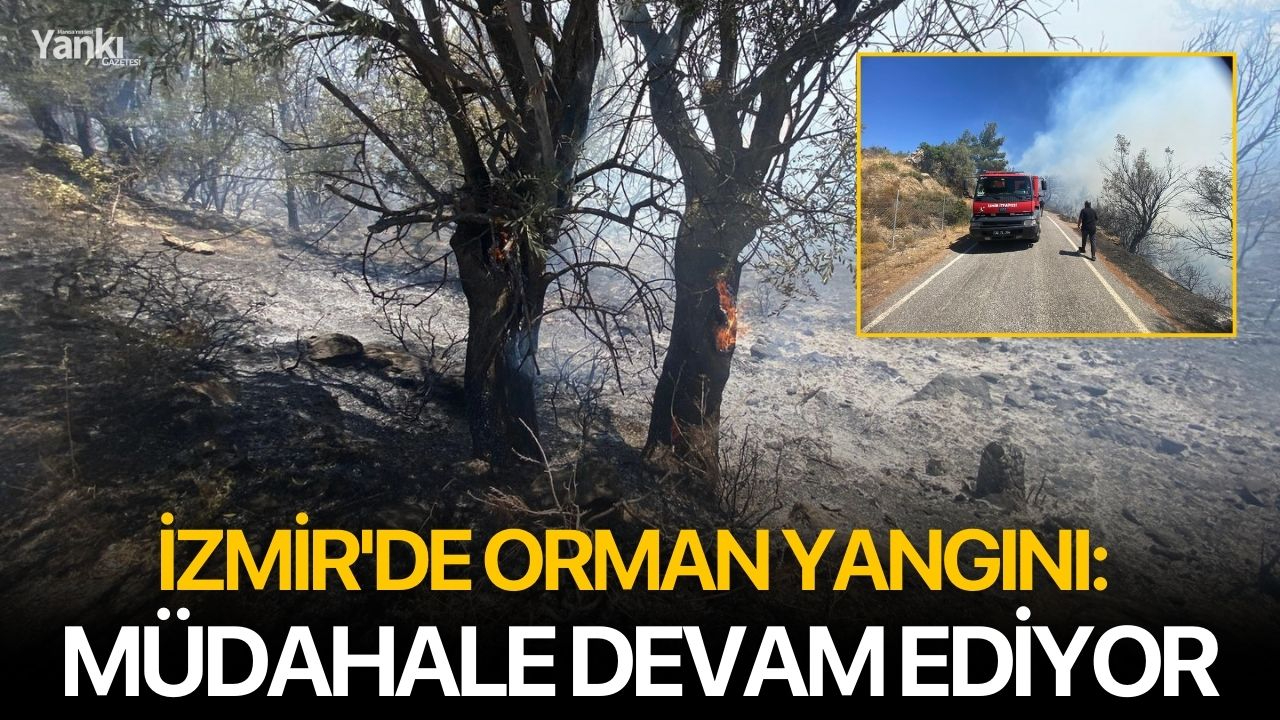 İzmir'de orman yangını: Müdahale devam ediyor