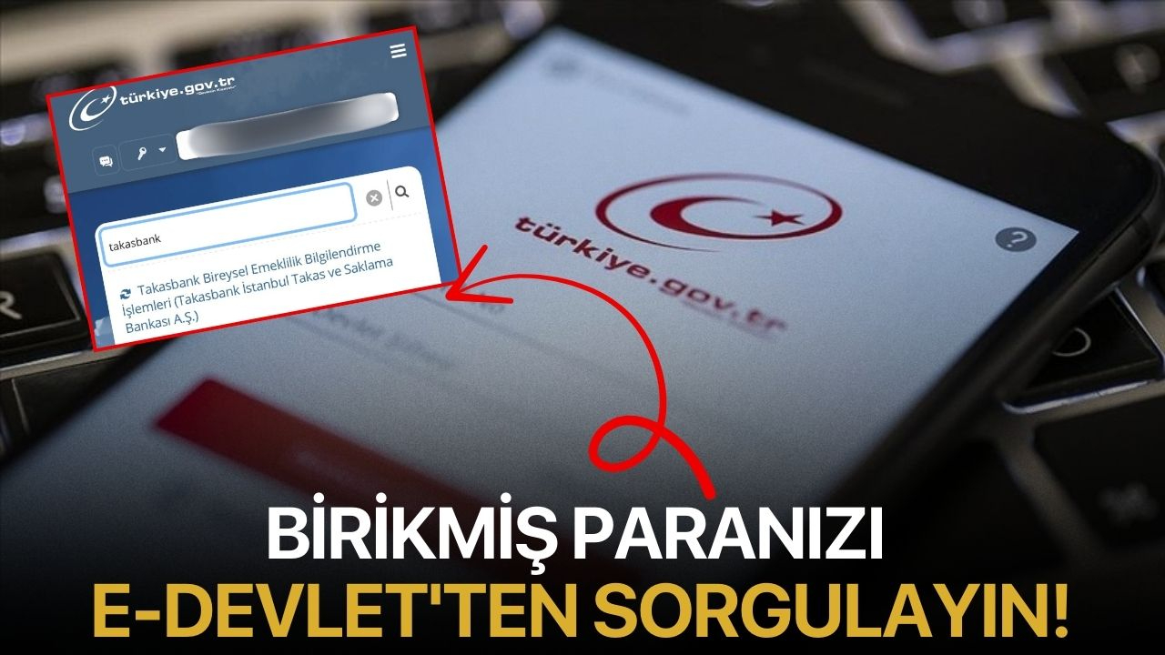 Birikmiş Paranızı E-Devlet'ten sorgulayın!