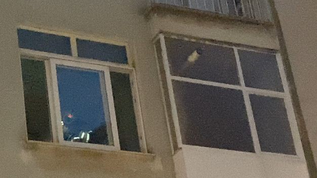 Evini ateşe verdi, gözaltına alındı!