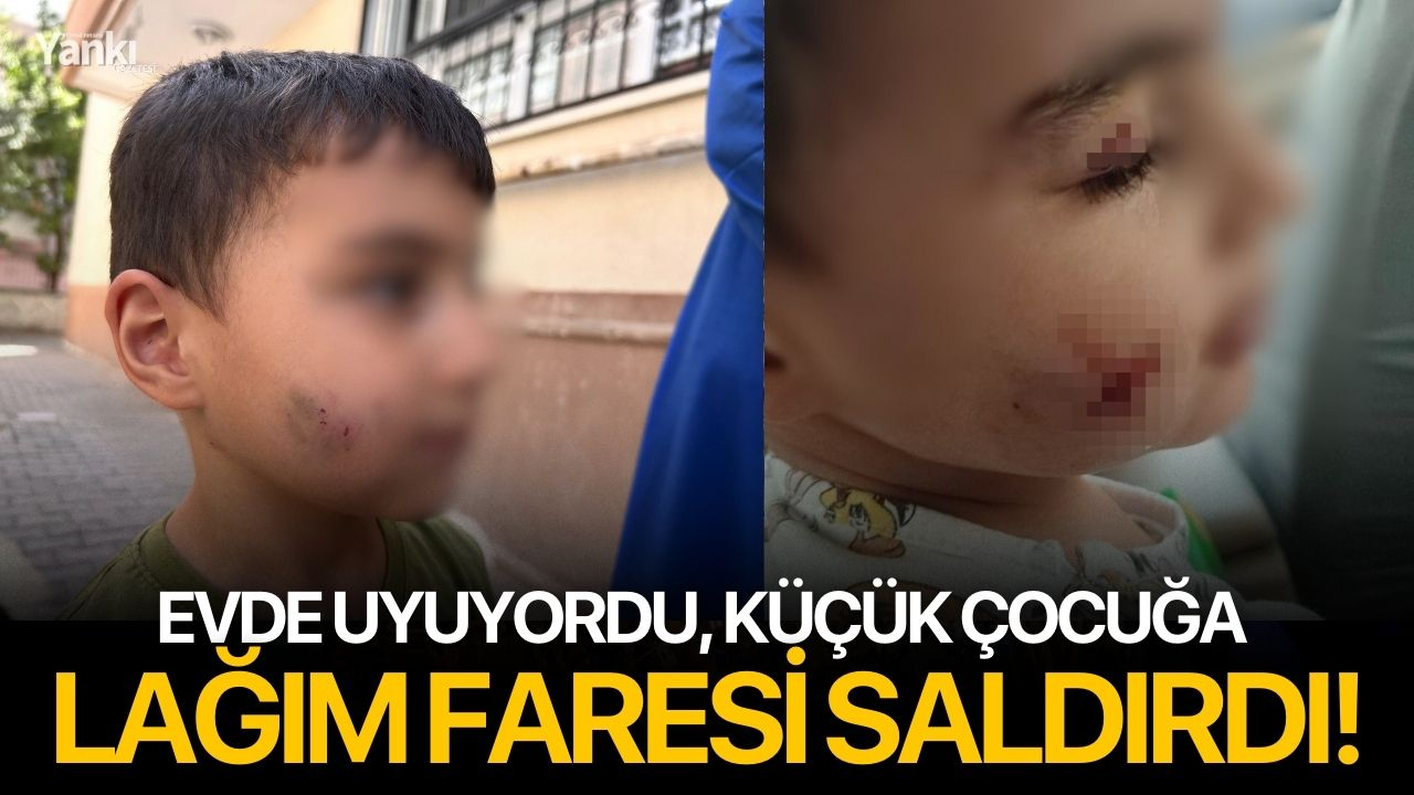 Evde uyuyordu, küçük çocuğa lağım faresi saldırdı!