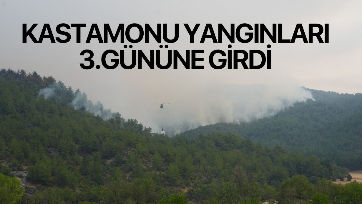 Kastamonu orman yangınları üçüncü gününde
