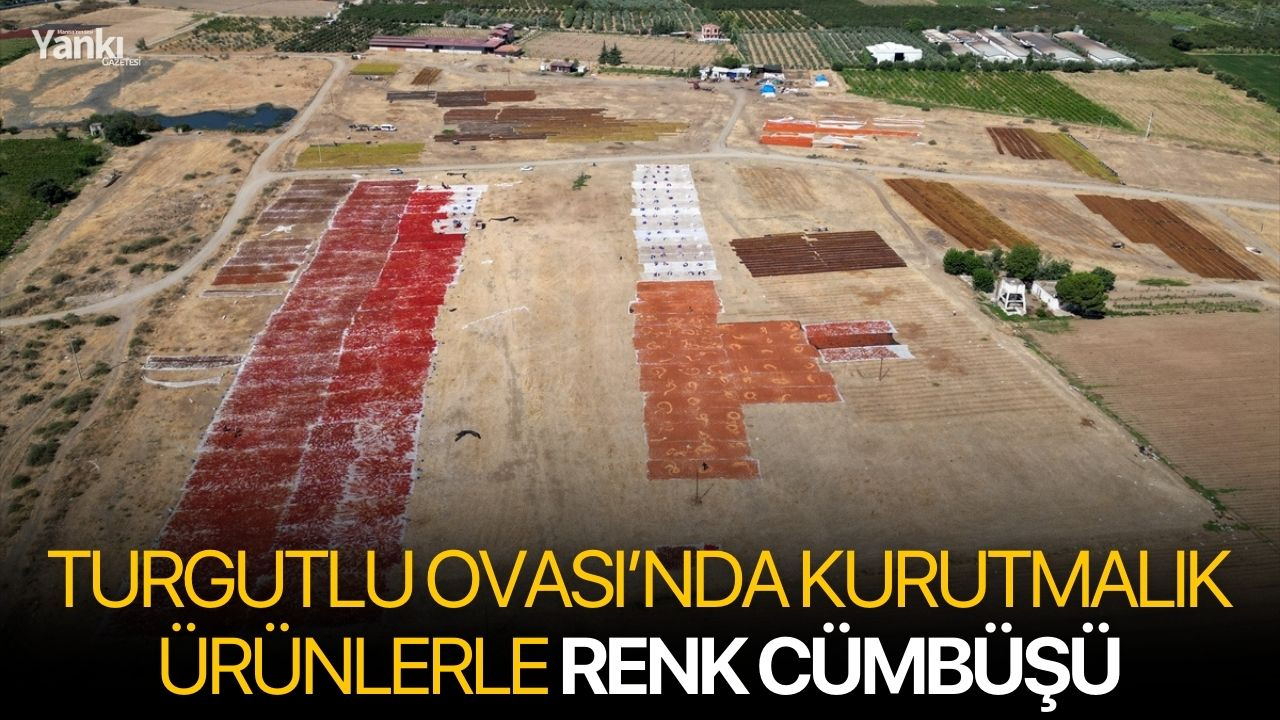 Turgutlu Ovası’nda Kurutmalık Ürünlerle Renk Cümbüşü