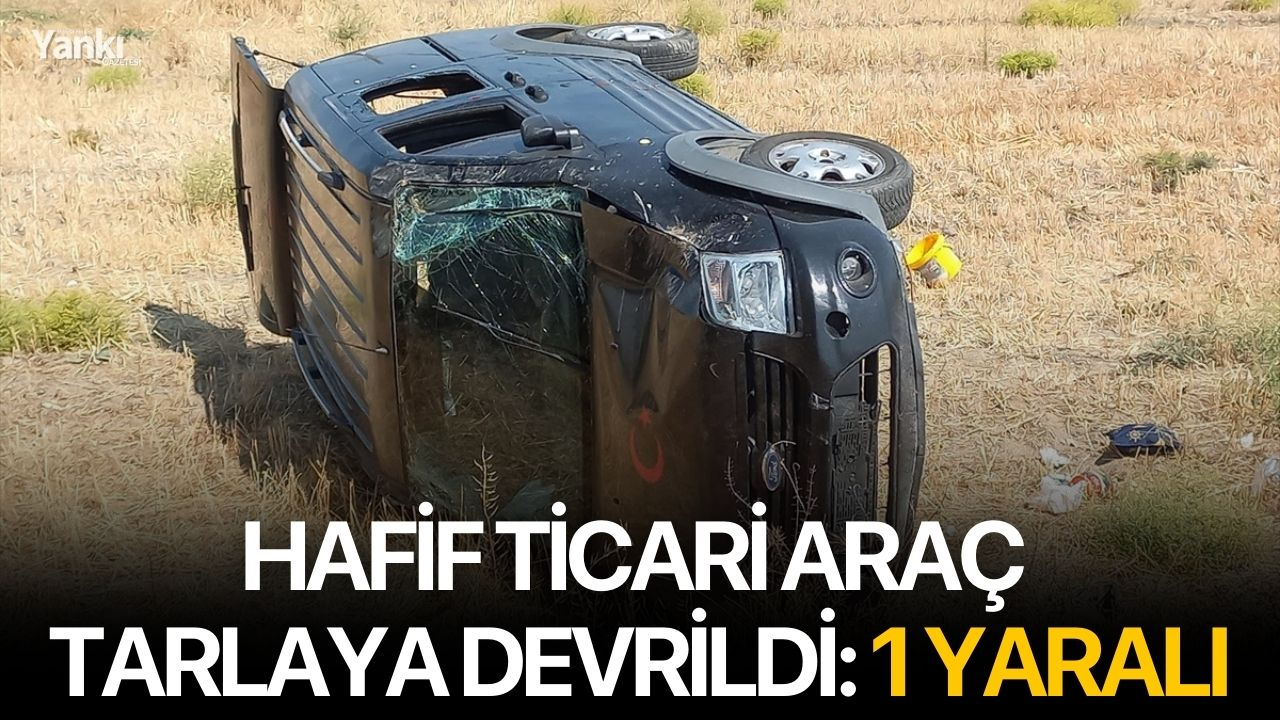 Hafif ticari araç tarlaya devrildi: 1 yaralı