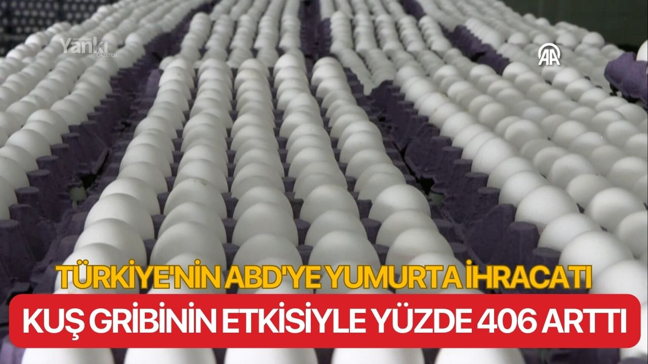 Türkiye'nin ABD'ye yumurta ihracatı, kuş gribinin etkisiyle yüzde 406 arttı