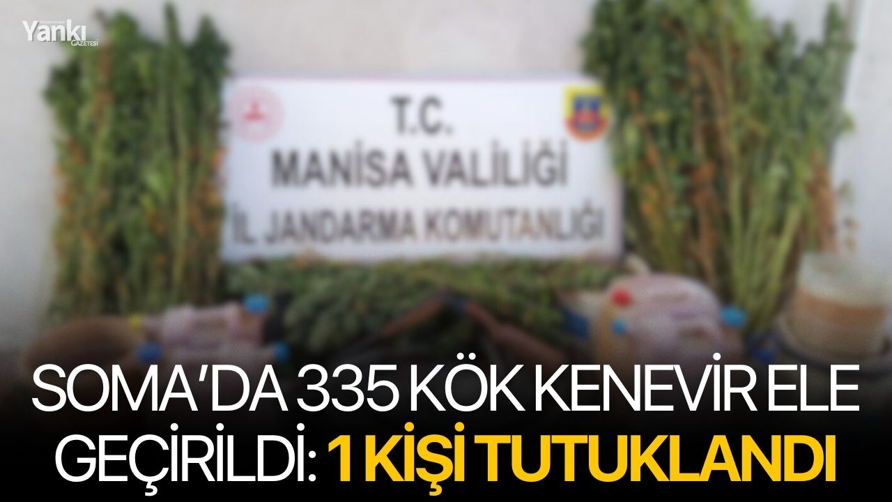 Soma’da 335 Kök Kenevir Ele Geçirildi: 1 Kişi Tutuklandı