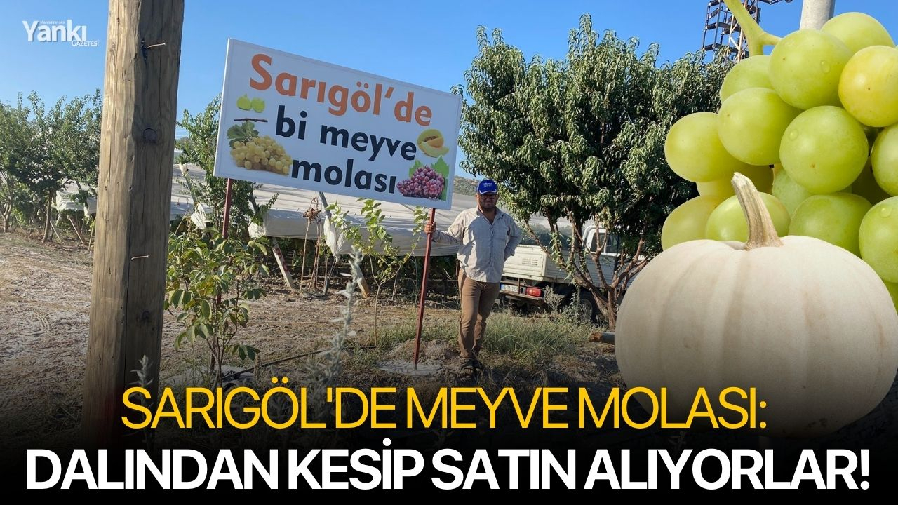 Sarıgöl'de meyve molası: Dalından kesip satın alıyorlar!