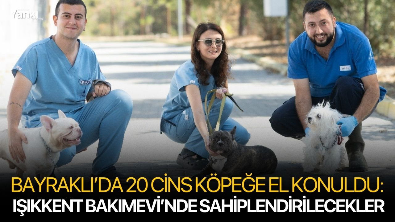 Bayraklı’da 20 Köpeğe El Konuldu: Işıkkent Bakımevi’nde Sahiplendirilecekler