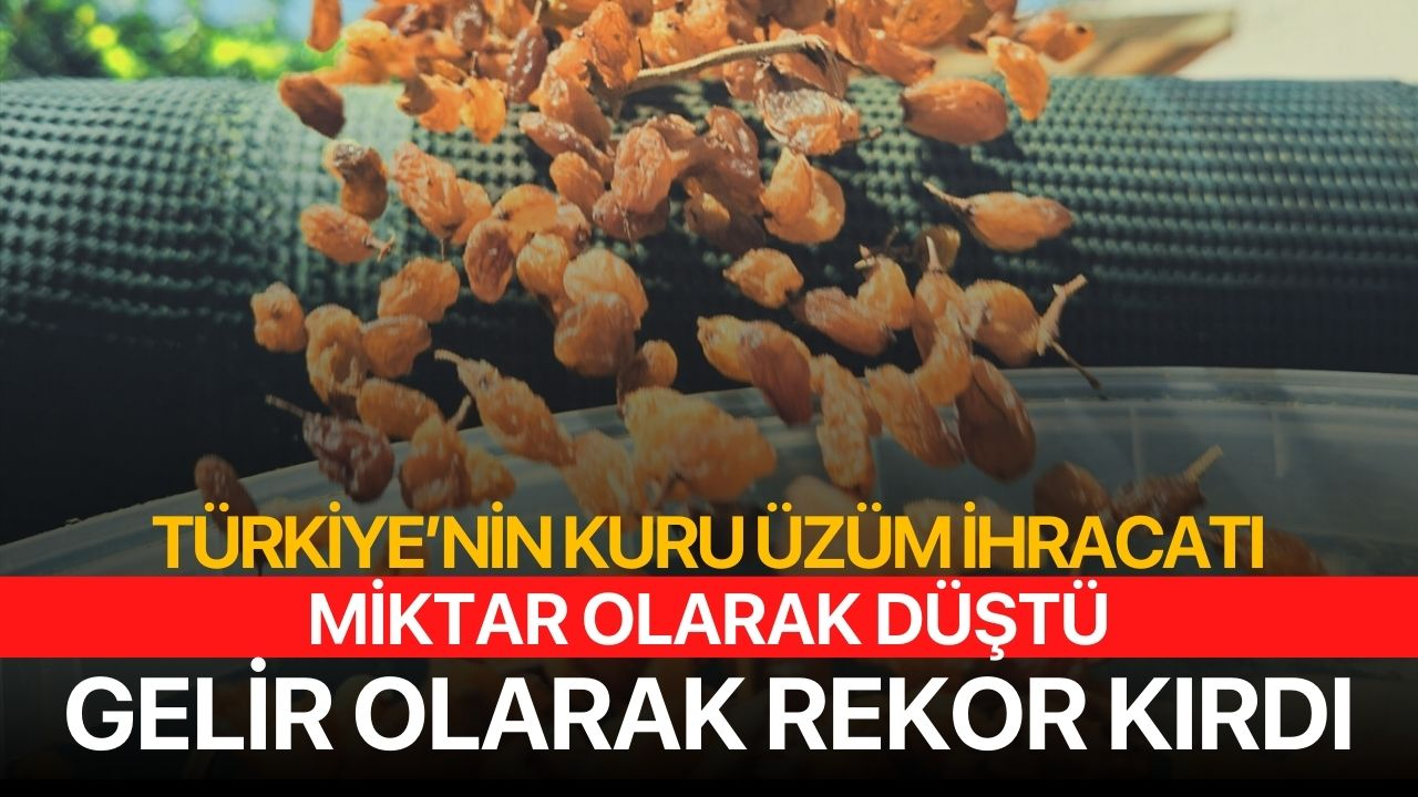Türkiye'nin kuru üzüm ihracatı rekor kırdı!