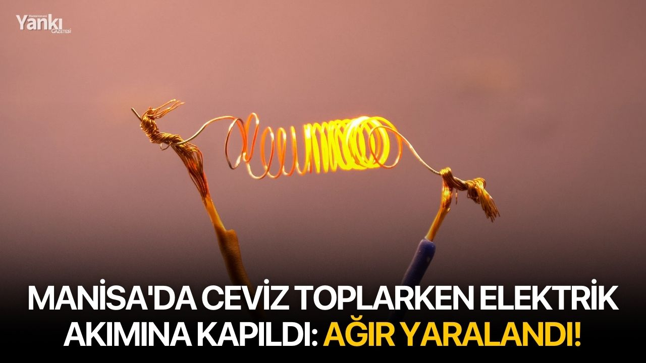 Manisa'da ceviz toplarken elektrik akımına kapıldı: Ağır yaralandı!