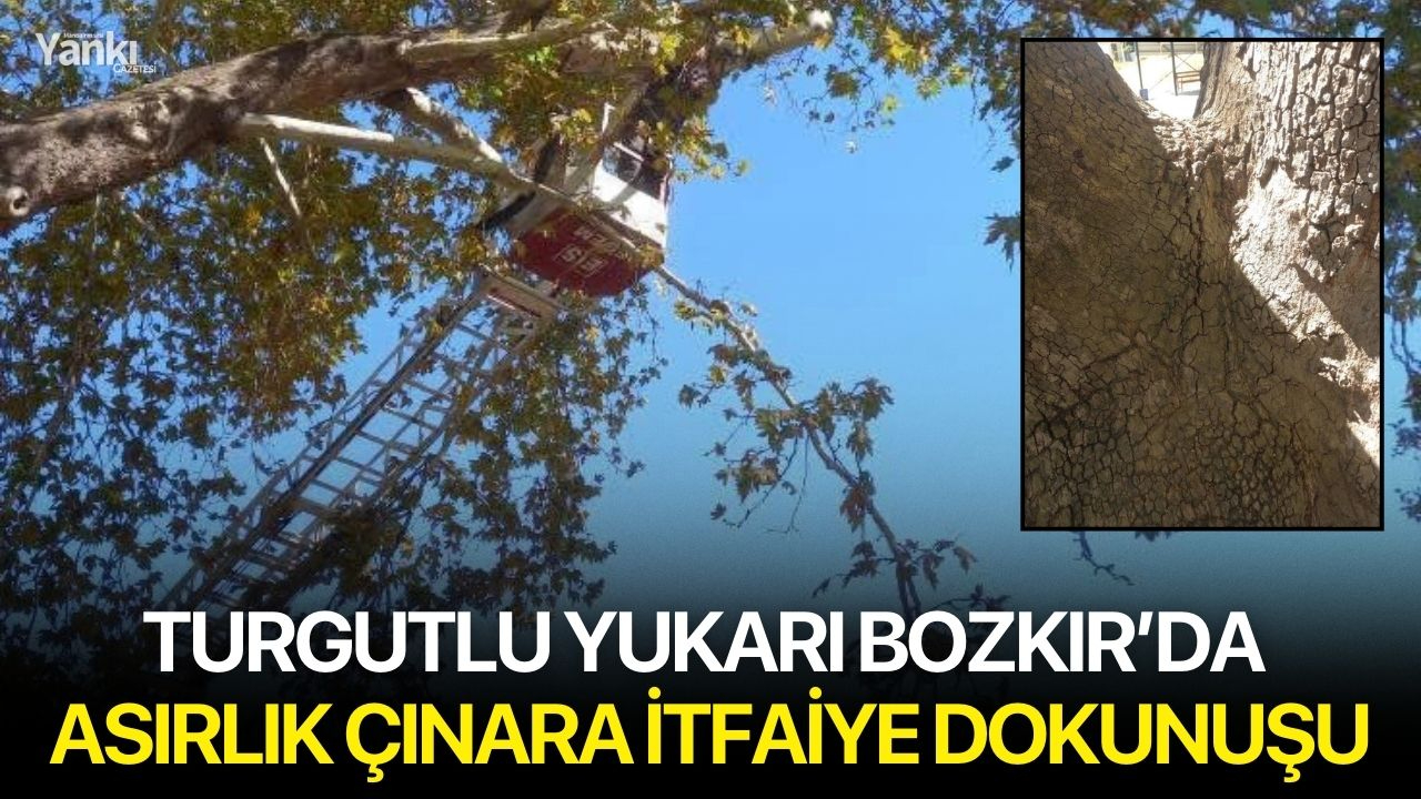 Turgutlu Yukarı Bozkır’da Asırlık Çınara İtfaiye Dokunuşu