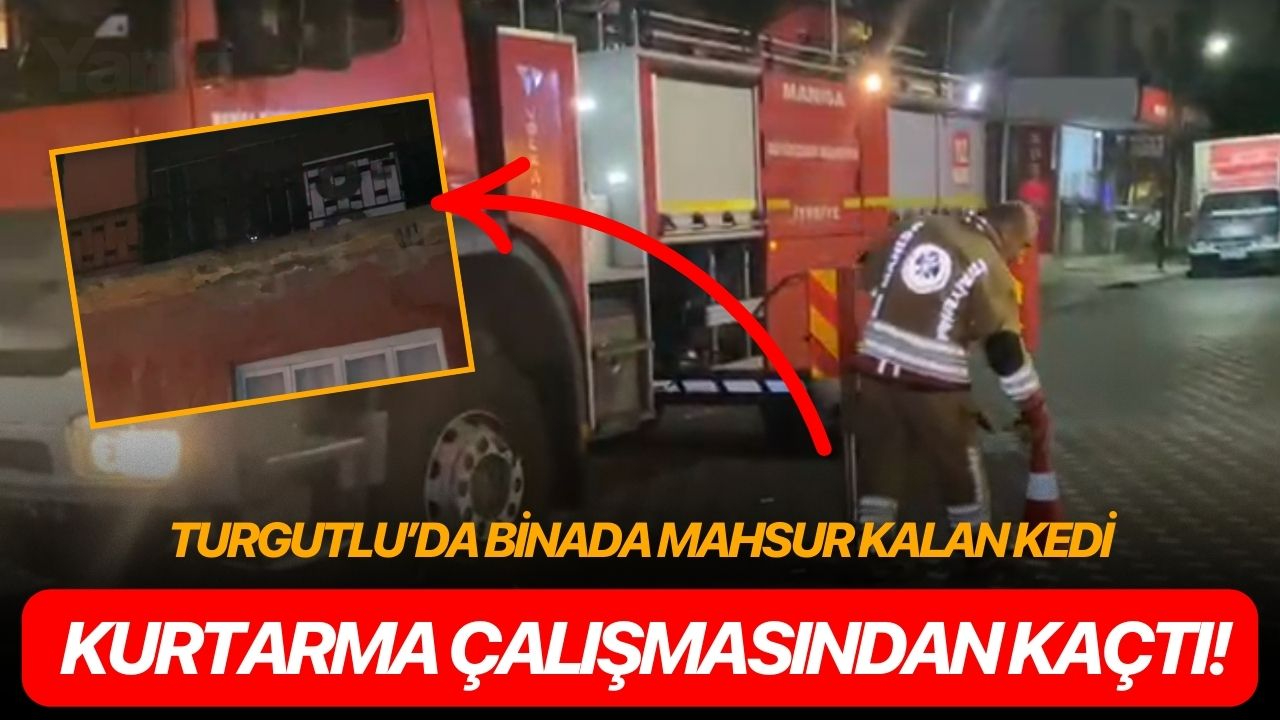 Turgutlu’da mahsur kalan kedi kurtarma çalışmasından kaçtı!