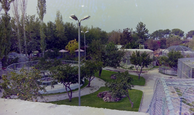 BİR DÖNEMİN MESİRE ALANI: FİDANLIK