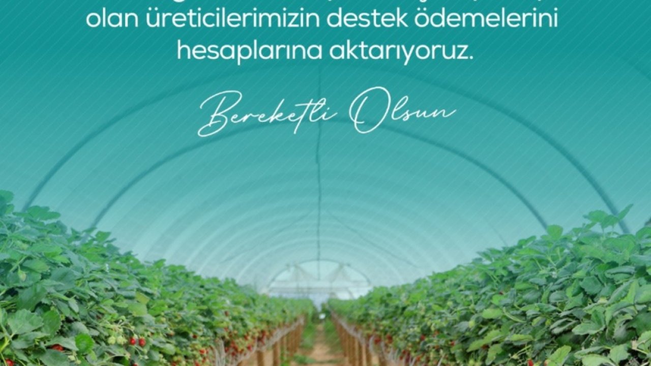 Bakan duyurdu: Zirai dondan etkilenen çiftçilere destek ödemesi yapılacak