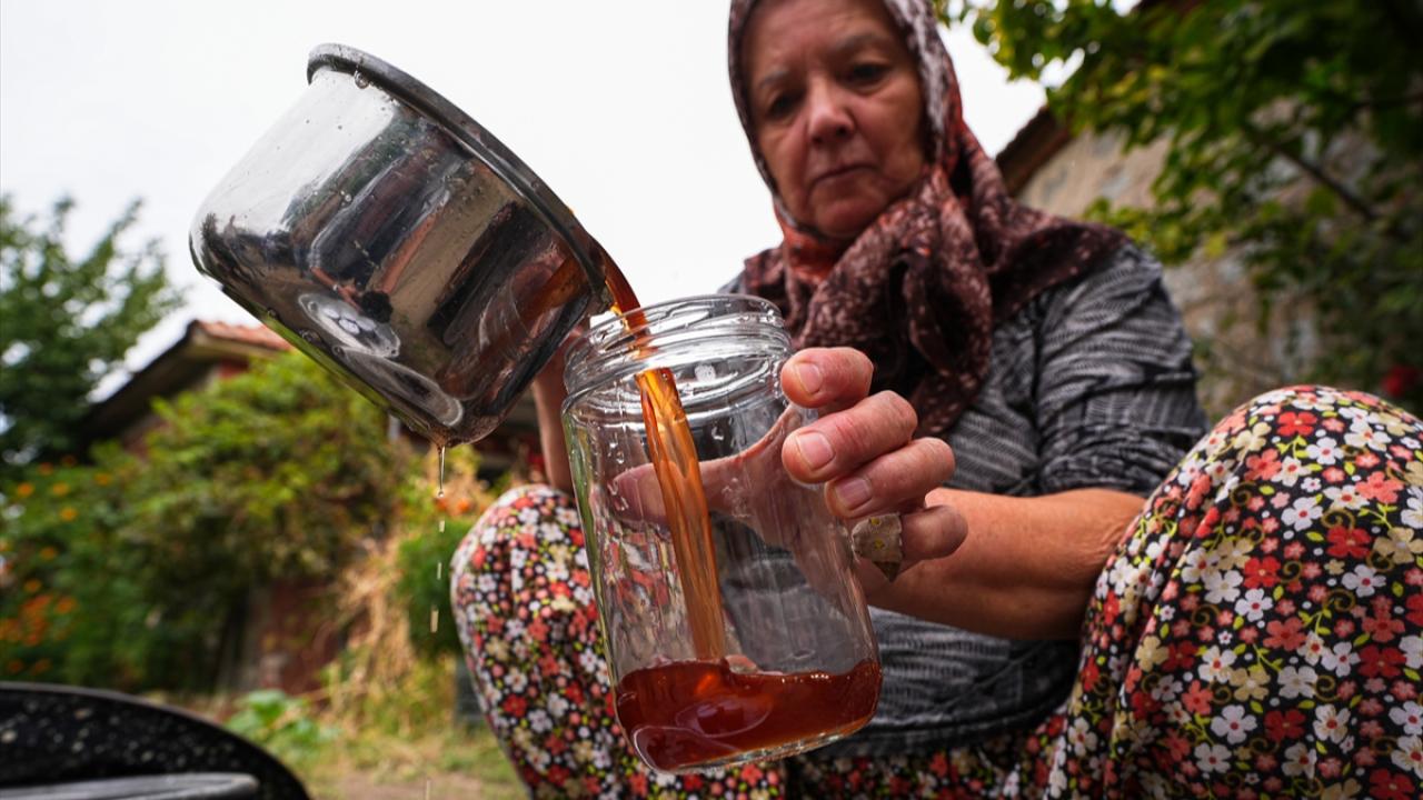 Çam kozalağı pekmezi için zahmetli yolculuk: Şifa deposu