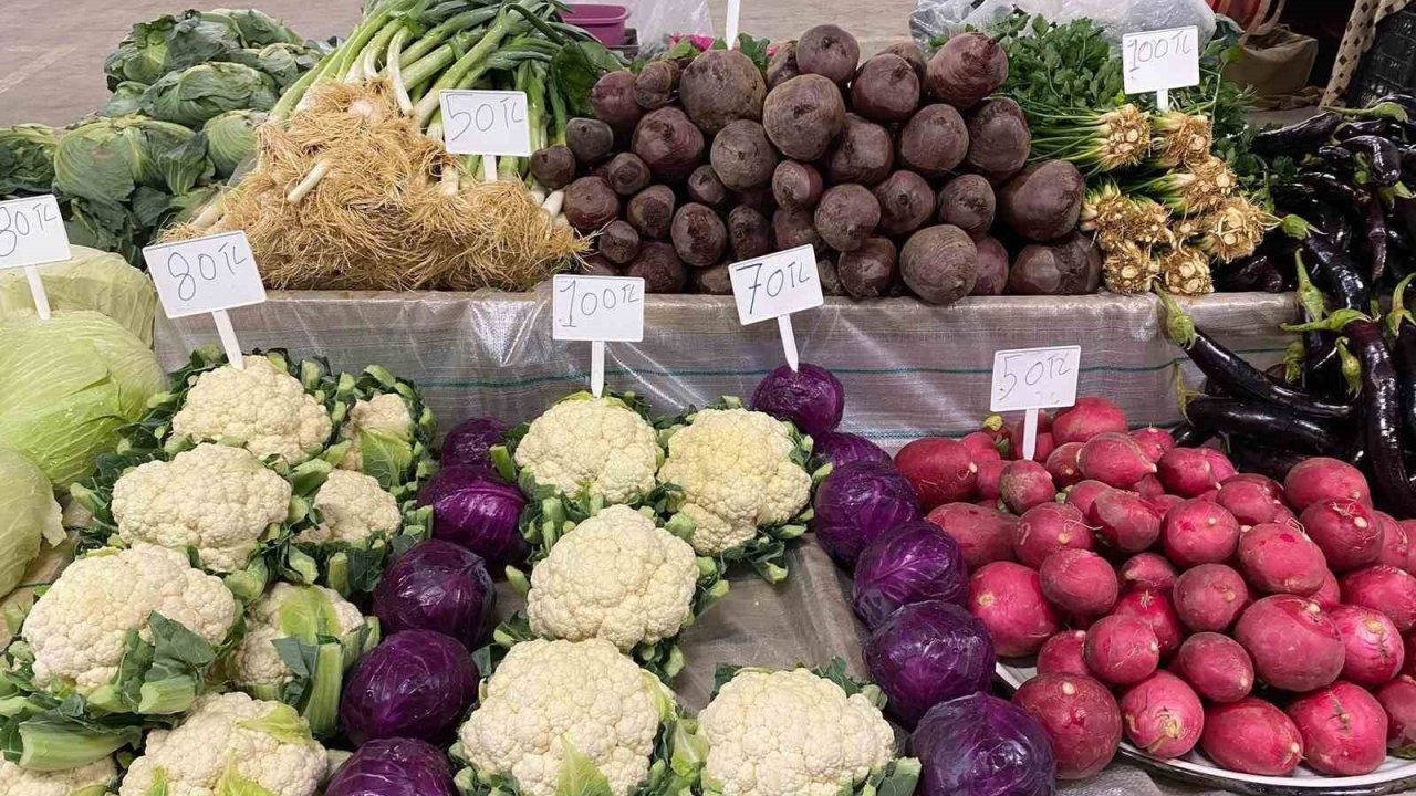 Manisa’nın ‘Son Sebzeci’si Ata Tohumlarını Yaşatıyor