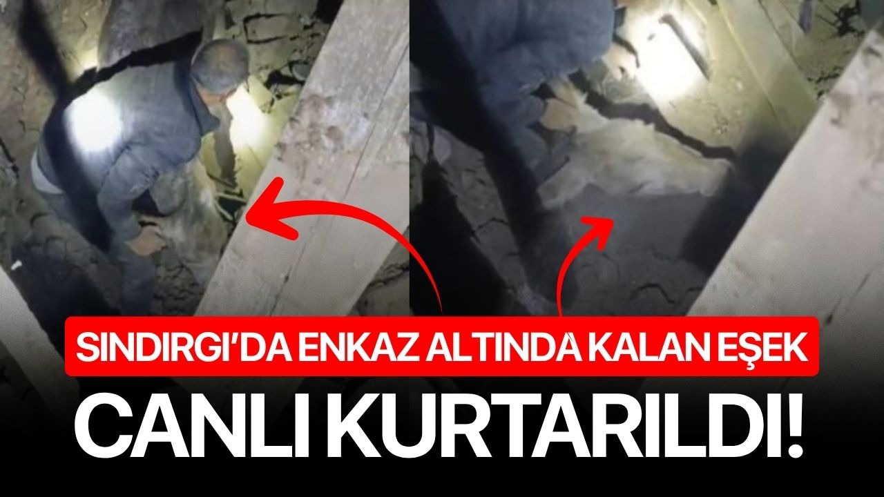 Sındırgı’da enkaz altında kalan eşek canlı kurtarıldı!