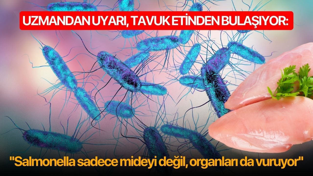 Uzmandan uyarı, tavuk etinden bulaşıyor: ''Salmonella sadece mideyi değil, organları da vuruyor''