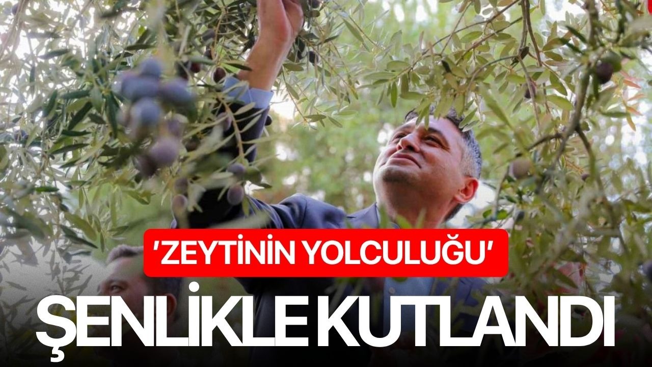 ’Zeytinin Yolculuğu’ İzmir'de şenlikle kutlandı
