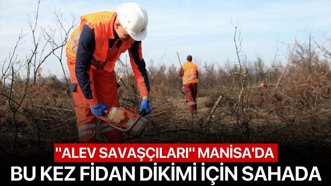 "Alev savaşçıları" Manisa'da bu kez fidan dikimi için sahada