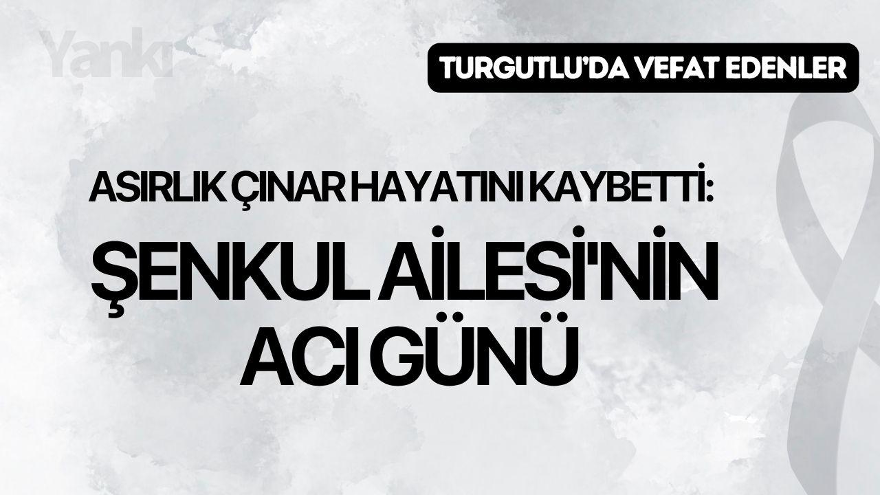 Asırlık çınar hayatını kaybetti: Şenkul Ailesi'nin acı günü