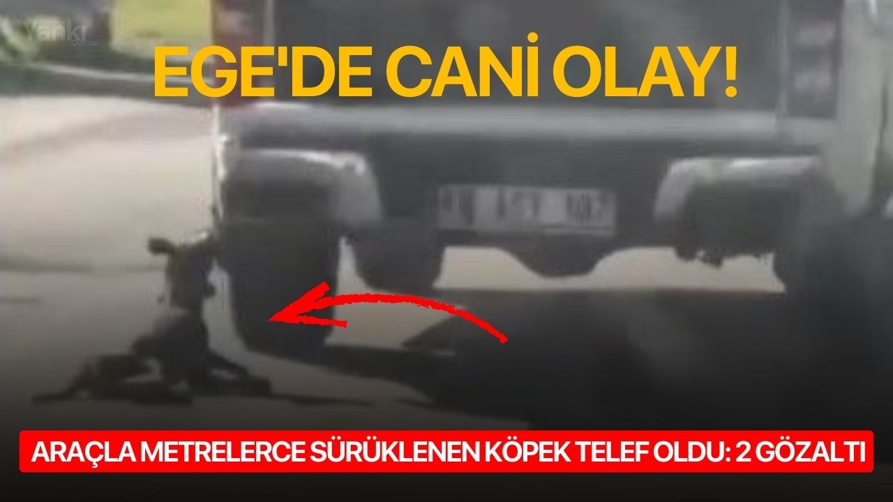 Ege'de cani olay! Araçla metrelerce sürüklenen köpek telef oldu: 2 gözaltı