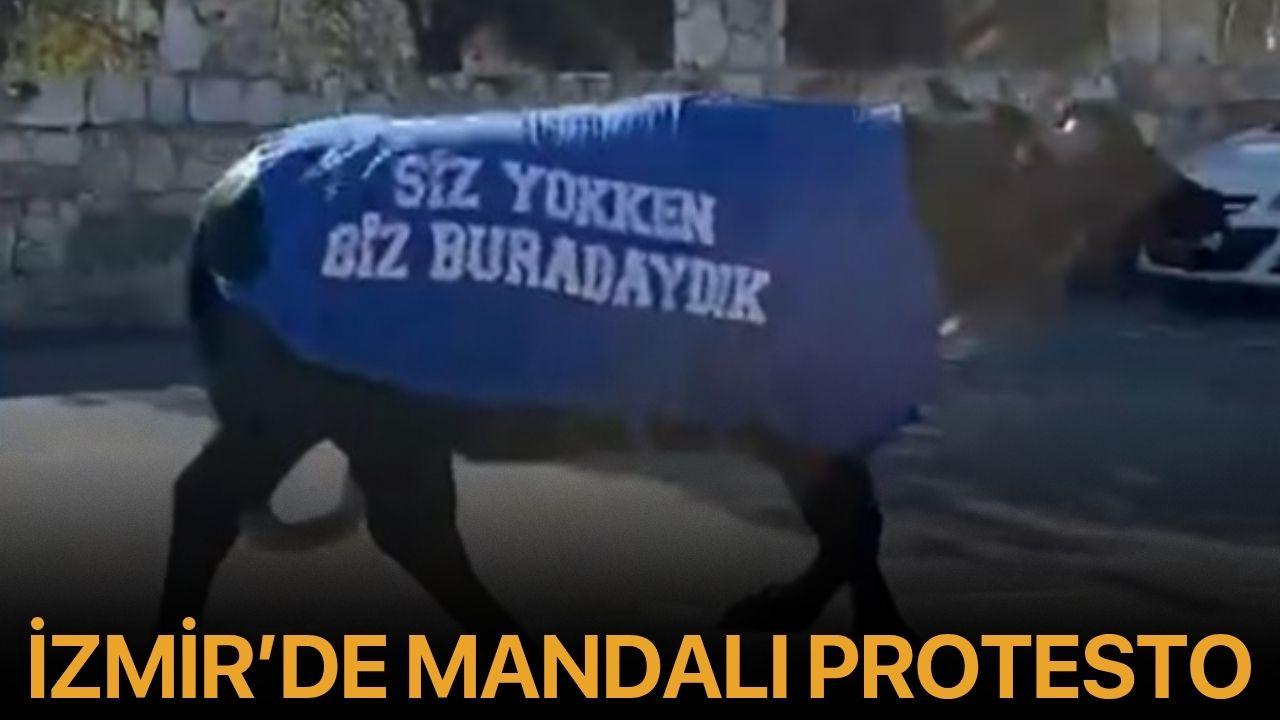 İzmir’de mandalı protesto