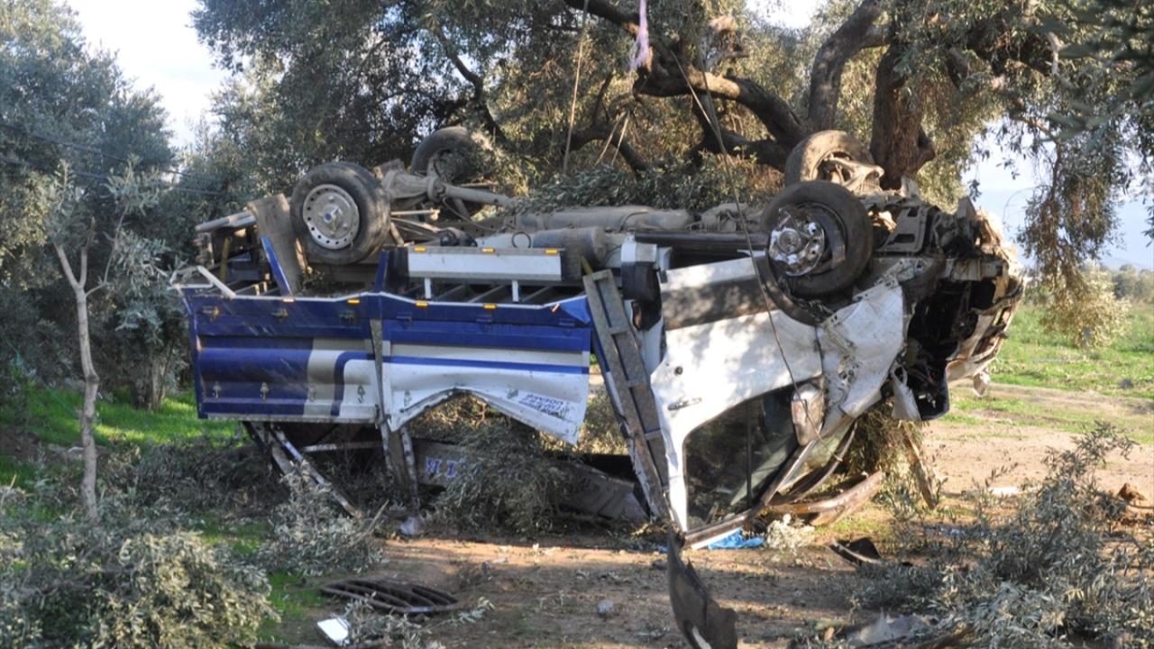 Kamyonet zeytin bahçesine yuvarlandı! Sürücü hastaneye kaldırıldı