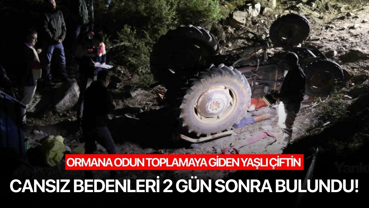Ormana odun toplamaya giden yaşlı çiftin cansız bedenleri 2 gün sonra bulundu!