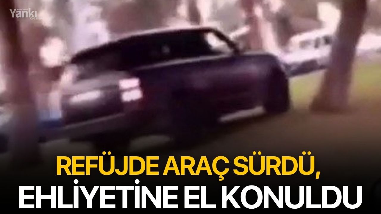 Refüjde araç sürdü, ehliyetine el konuldu