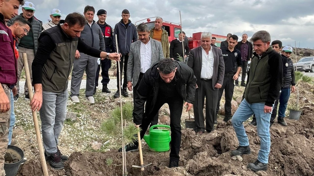 Selendi’de 800 fidan toprakla buluşturuldu