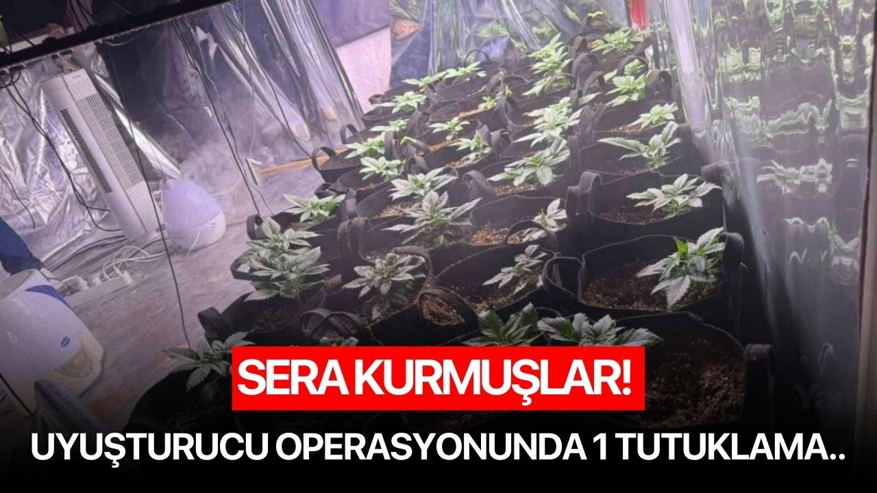 Sera kurmuşlar! Uyuşturucu operasyonunda 1 tutuklama..