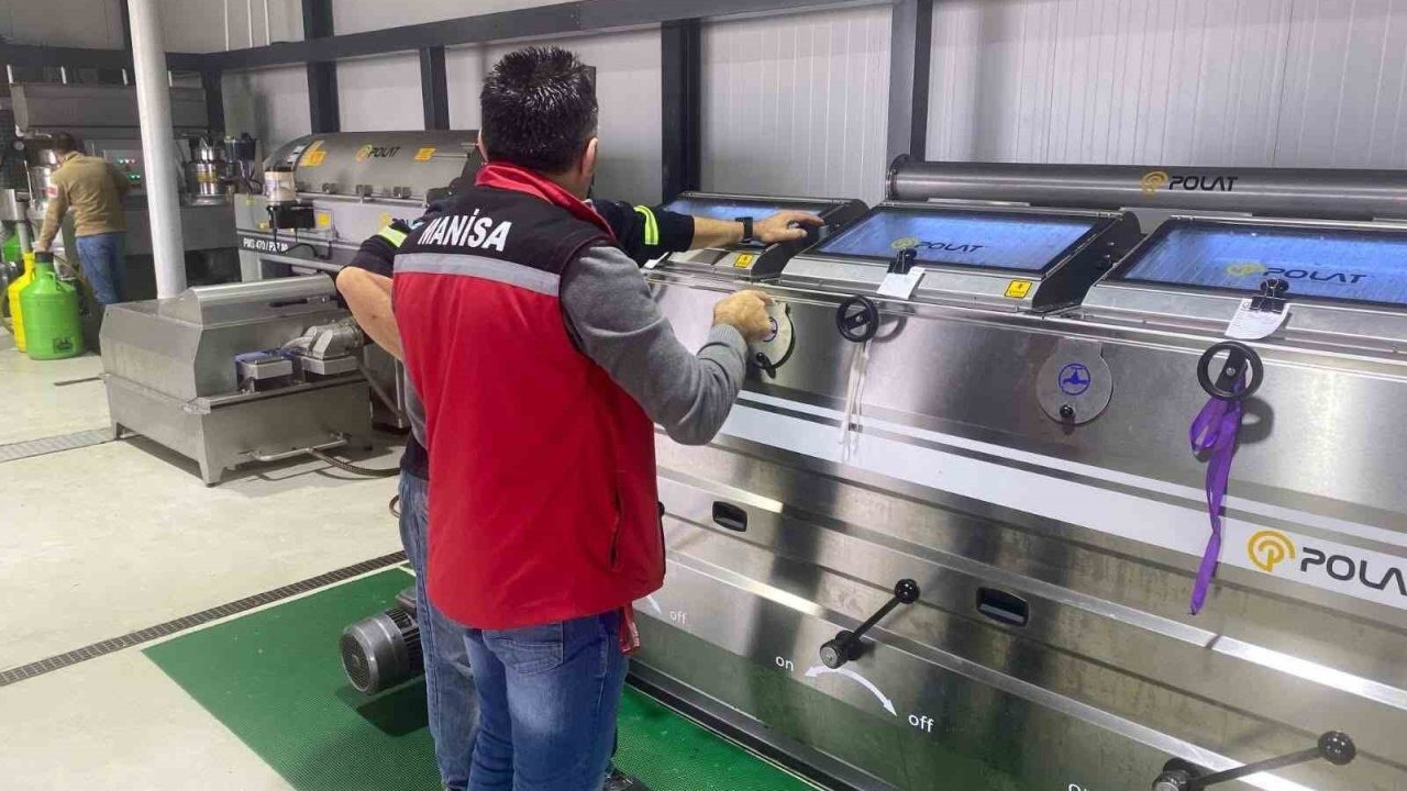 Sezon açıldı denetimler başladı: Zeytinyağı üretim tesislerine denetim