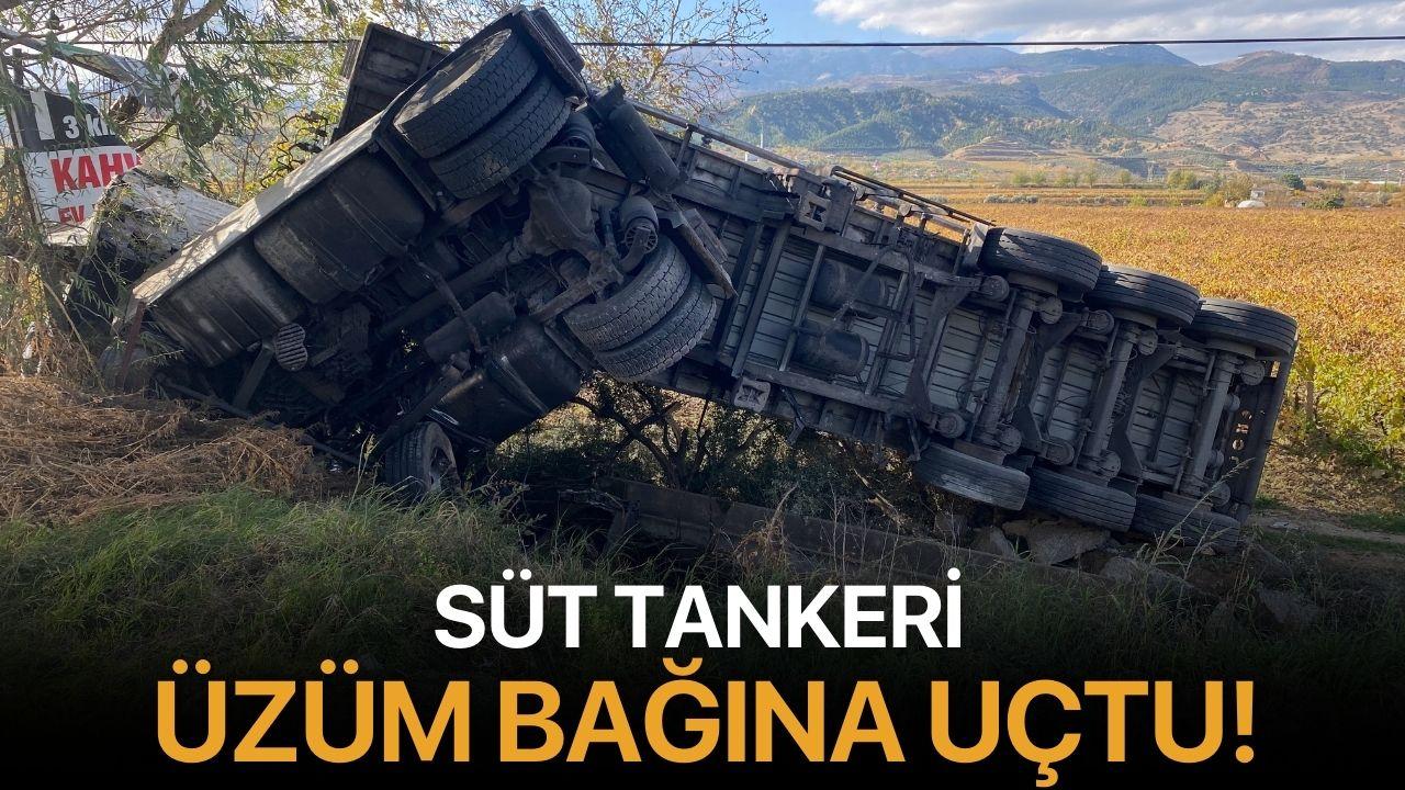 Süt tankeri üzüm bağına uçtu
