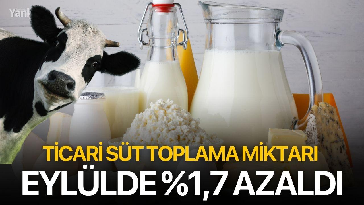 Ticari Süt Toplama Miktarı Eylülde %1,7 Azaldı