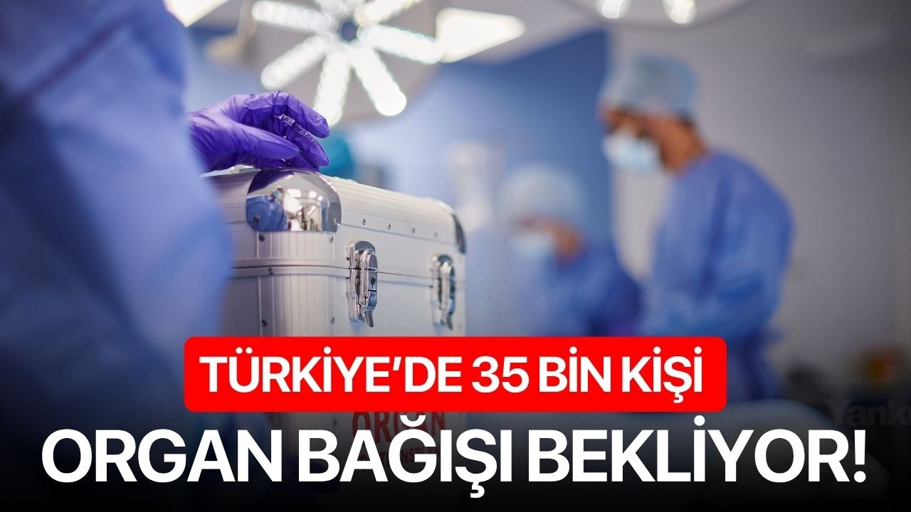 Türkiye’de 35 bin kişi organ bağışı bekliyor!